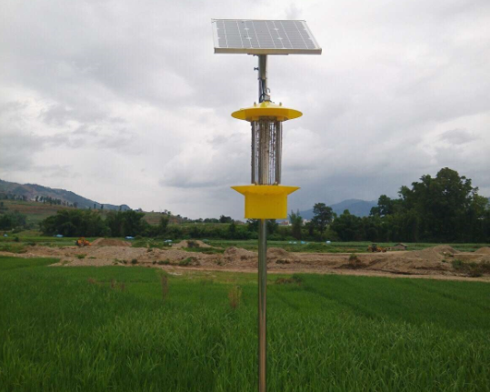 云飛太陽能殺蟲燈用于農田除蟲管理