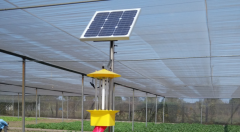 殺蟲燈成為蔬菜大棚無公害種植的“綠防衛士”