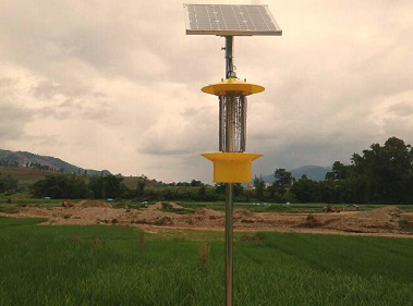 太陽能殺蟲燈在現代農業病蟲害防治的應用