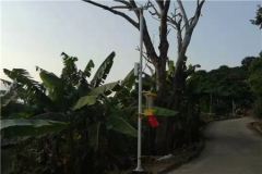 云飛自動清蟲太陽能殺蟲燈推動閩清縣橄欖產業(yè)