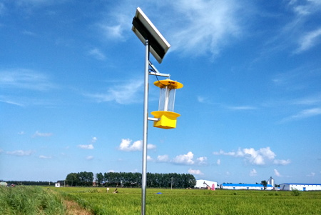 智能液晶顯示殺蟲(chóng)燈