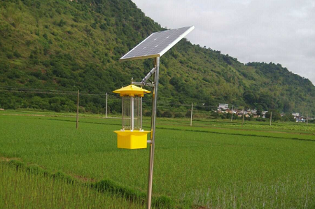 智慧物聯網殺蟲燈